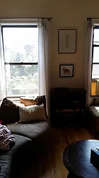 Rented by Rapid Realty Cobble Hill