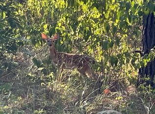 0 Caney Mountain Trl, Fort Towson, OK 74735