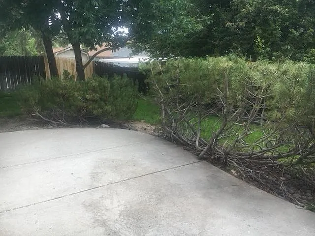 7800 Big River Dr — Photo 3