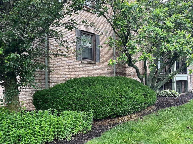 9740 Bunker Hill Ln — Photo 14