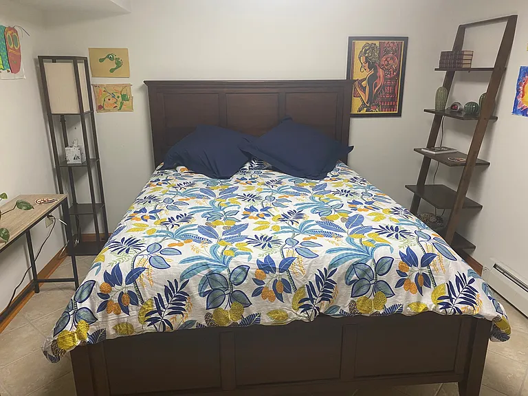 basement has guest bedroom with queen size bed.