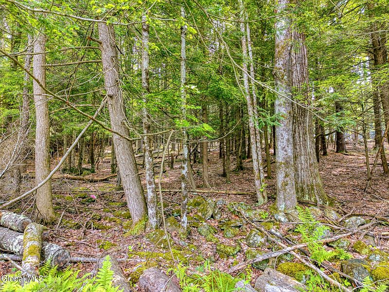 3rd image of TBD Boulder Brook Road Lot # 10