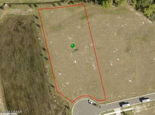 1860 Adrian Creek Blvd, Pt Orange, FL 32128