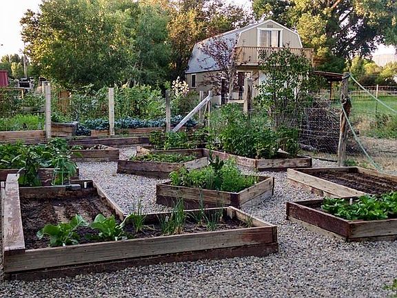 Raised Garden w/Irrigation