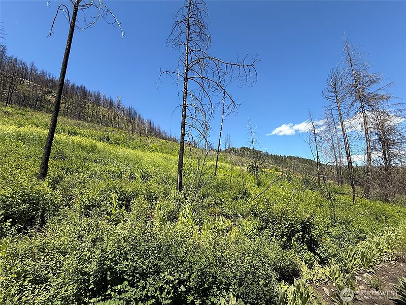 2nd image of 0 Lot 32 4th of July Creek Road