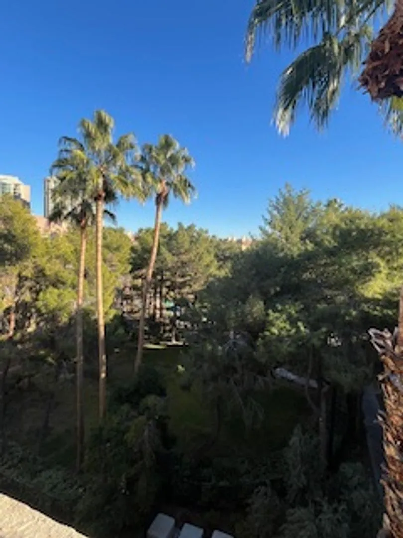 Top Floor 1 Bath| 1 Bedroom Luxury Condo (NV Energy/SW Gas/Internet Included in price) — Photo 4