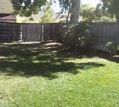 Fenced back yard