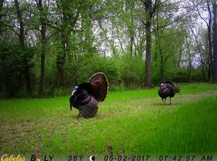 12750 State Rd, Leslie, MI 49251