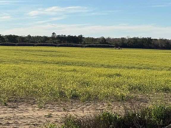 4th image of 5526 Old U South Rd