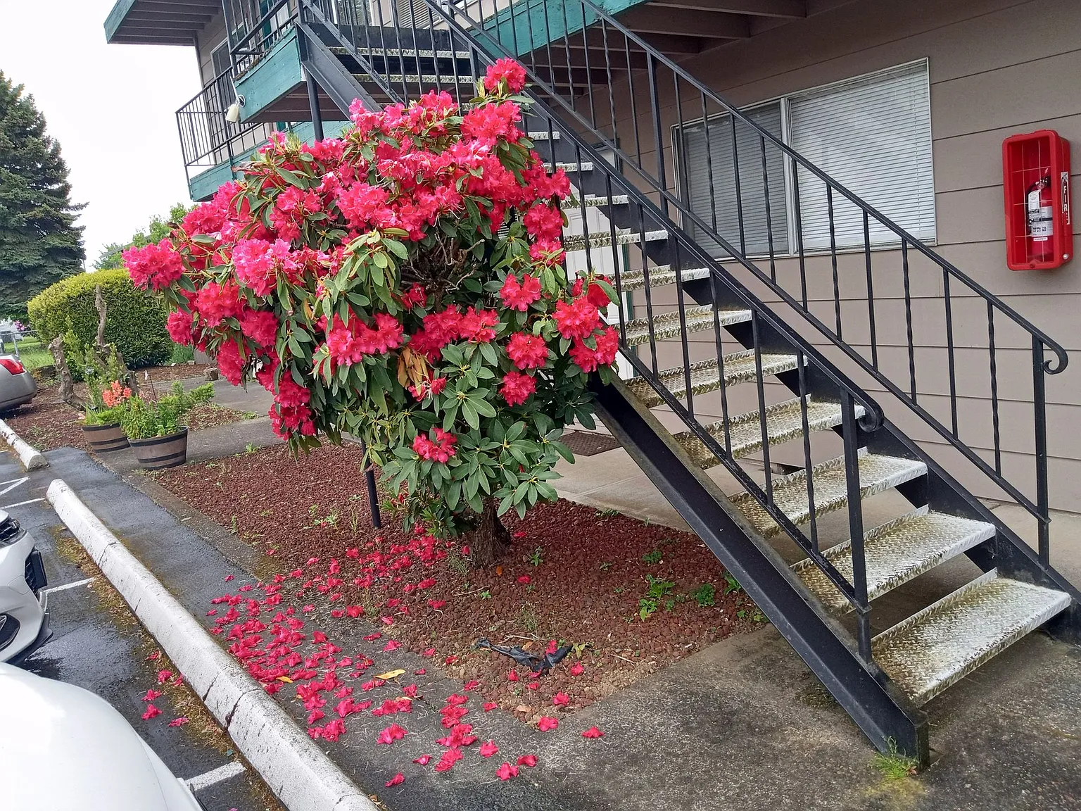 At Last! A studio apartment you have been searching for! Close to Downtown Vancouver and Clark Co... — Photo 2