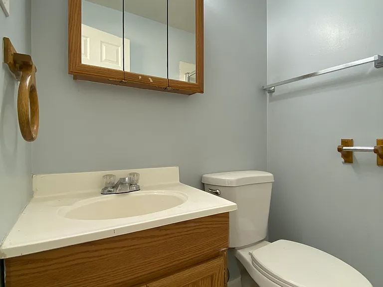 7332 Mossy Brink Ct — Photo 8
