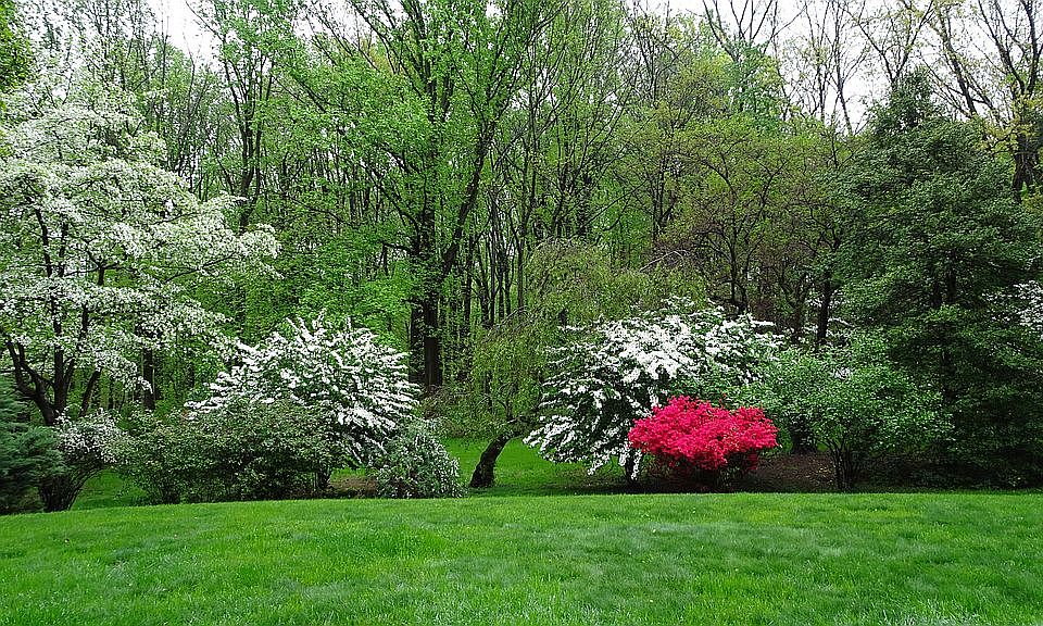 2nd image of 1275 Woods Rd