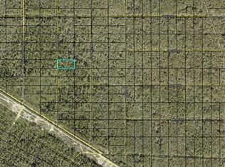 Turpin Ave LOT 253, Hastings, FL 32145