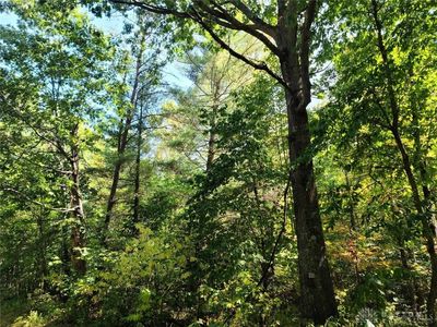 0 Apple Grove Dorcas Rd, Racine, OH, 45771