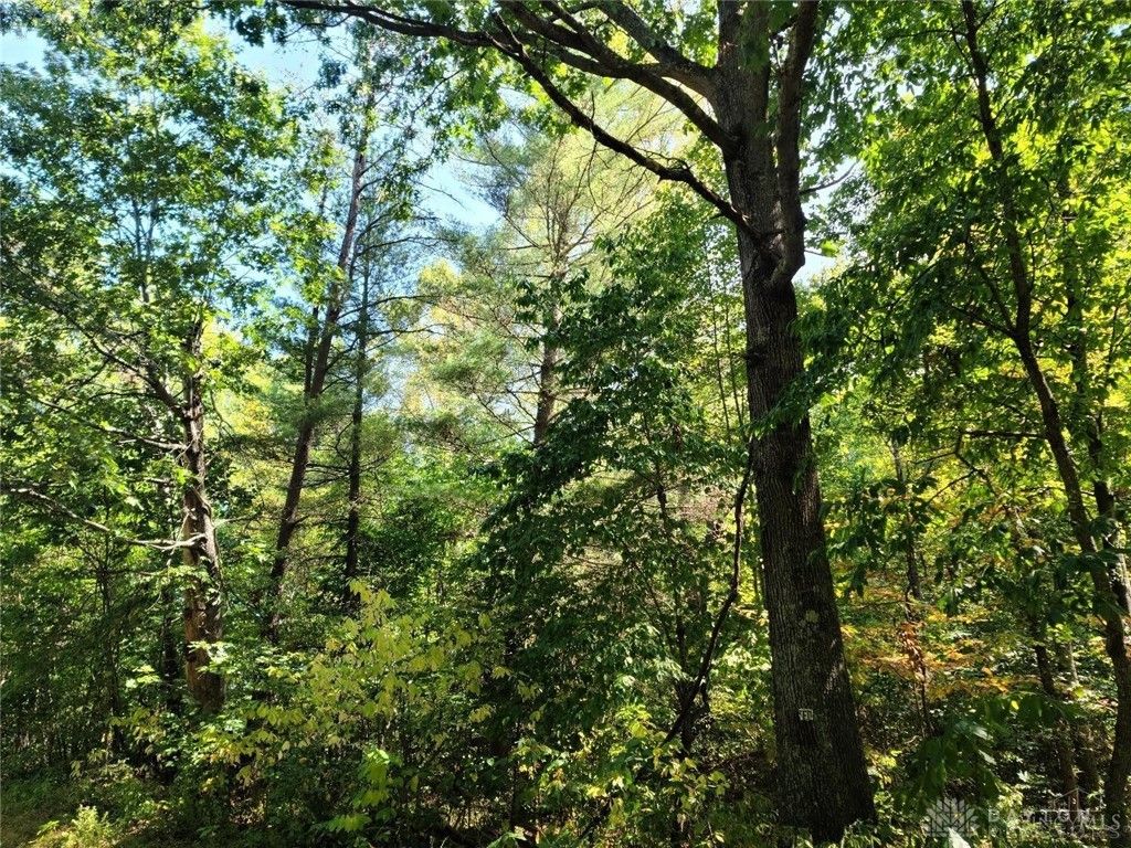 Real estate listing image