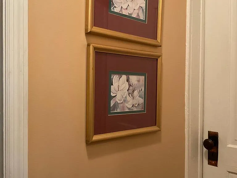 Magnolia Prints