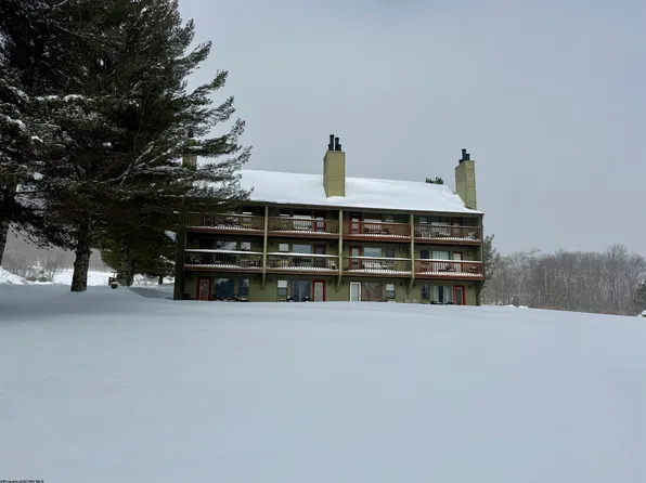 16-124 Grizzly Way, Davis, WV 26260