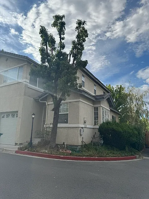 535 Warren Court - 1 — Photo 2