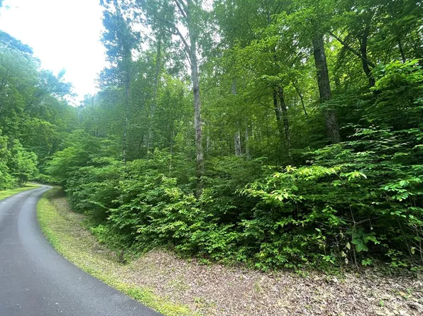 18 Skyview At Wildlife Acres, Hayesville, NC 28904