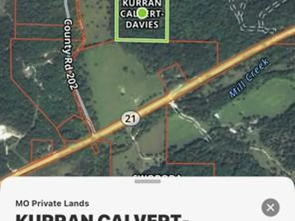 0 N Highway 21 & E Of Cres #202, Lesterville, MO 63654