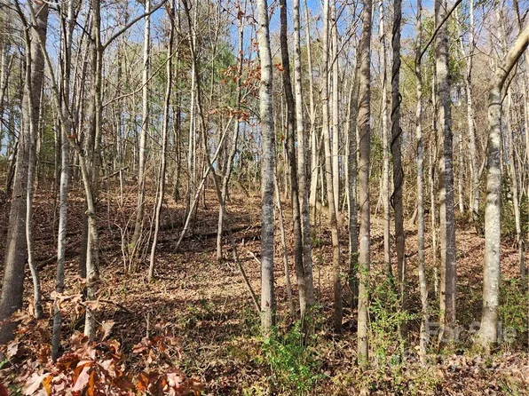 Dudley Shoals Rd, Granite Falls, NC 28630