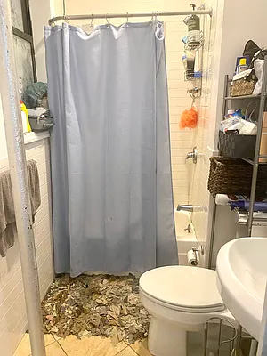 Rented by Corcoran | media 22