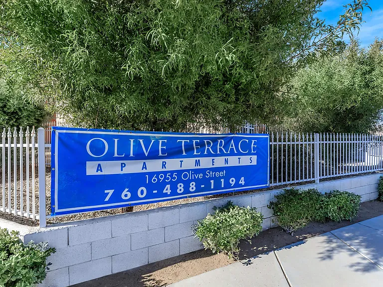 Olive Terrace — Photo 10