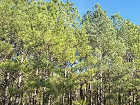 3 Sugarberry Trl, Broken Bow, OK 74728