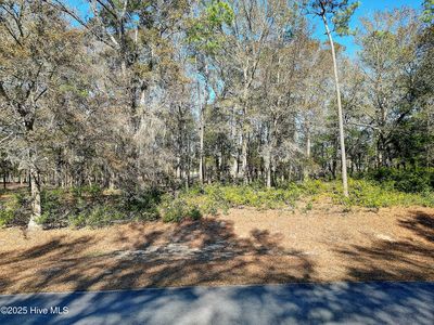 3406 Heron Lake Drive SW, Supply, NC, 28462