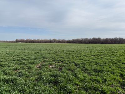 000 Hwy Yy, Miller, MO, 65707