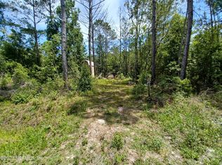 10100 Nikolich Ave, Hastings, FL 32145