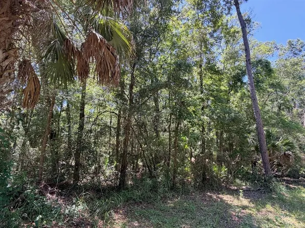 0 SE Highway 19 Lot 3, Inglis, FL 34449