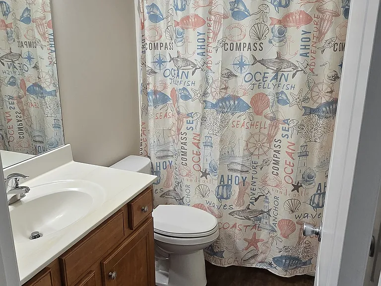 Downstairs hall bath
