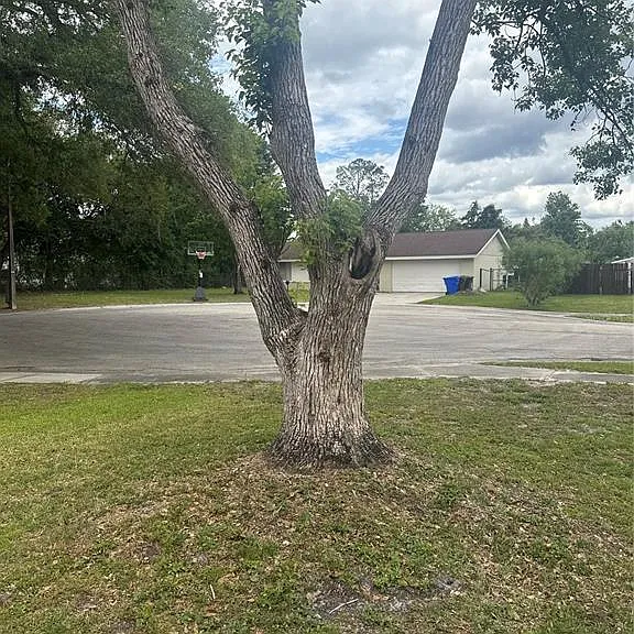 2329 Pine Tree Ct — Photo 4