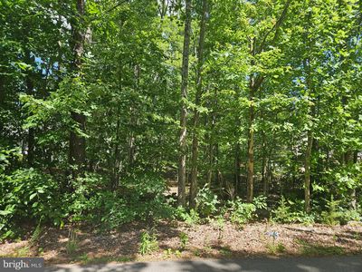 12817 Plantation Dr, Spotsylvania, VA, 22551