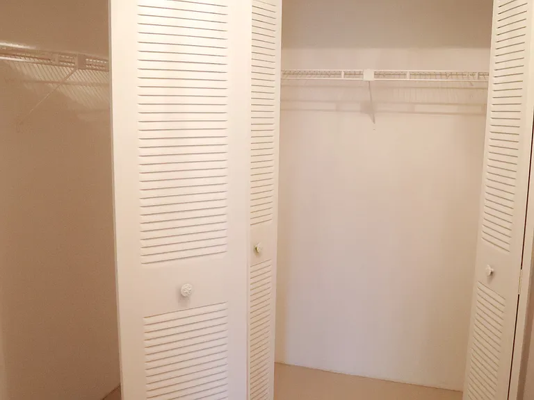 Master double closet