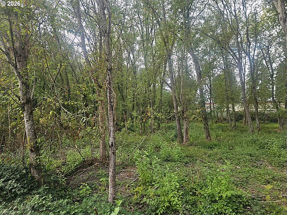 4th image of NE 53rd St