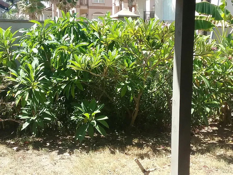 139 White Sands #B — Photo 14