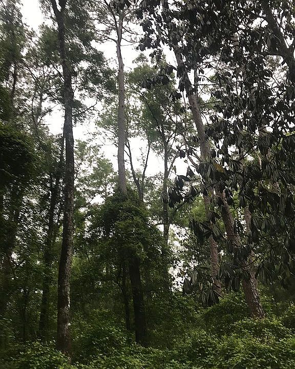 1st image of Arikara Dr