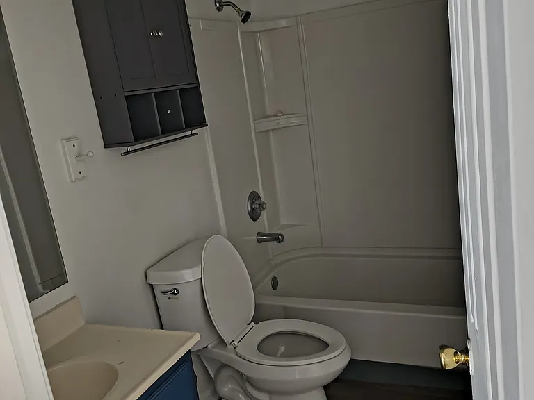 Bathroom 219