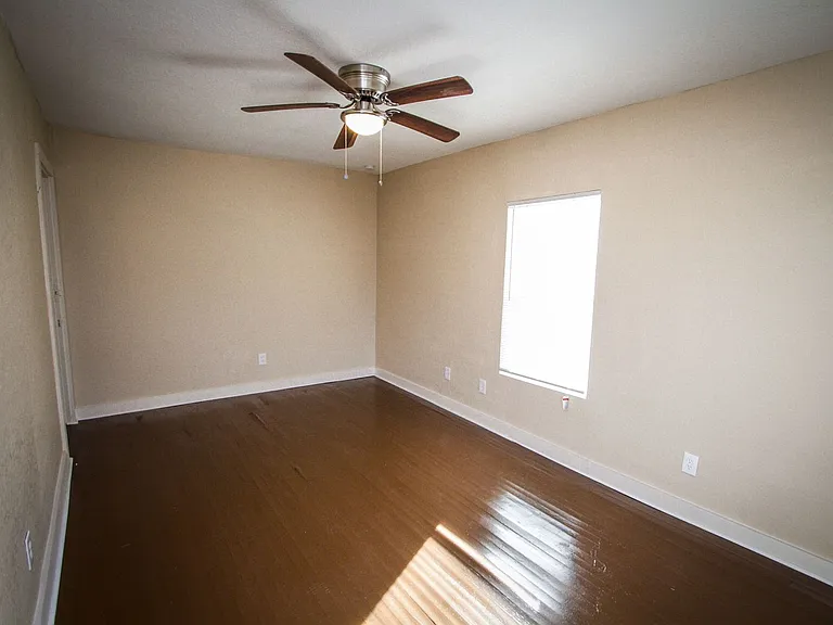 936 Poinsettia — Photo 18