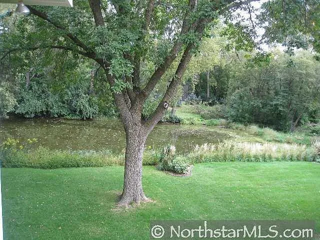 backyard pond