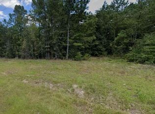 6 J B Swartz Rd, Wagener, SC 29164