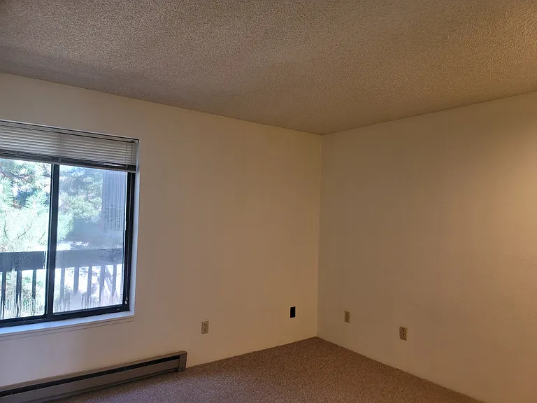 South bedroom has a view of the Roaring Fork River