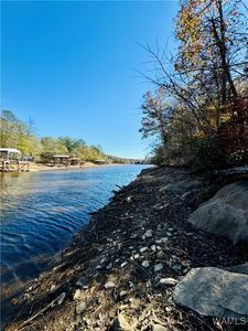 0 County Road 2565, Wedowee, AL, 36278