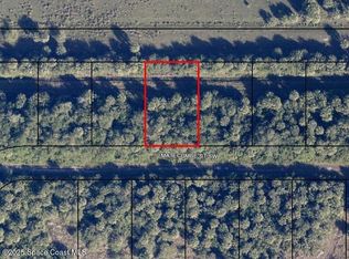 871 Matecumbe St SW, Palm Bay, FL 32908