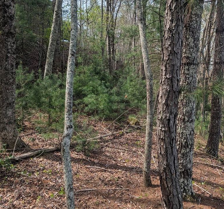 2nd image of LOT 7A Lake Appalachia Ac Dr