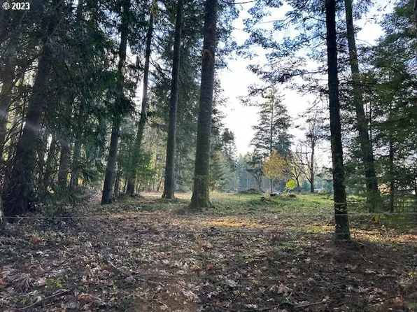 0 NE Morcroft Rd, La Center, WA 98629