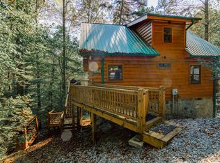 70 Holly Hollow Ct, Blue Ridge, GA 30513