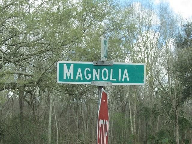 2nd image of Magnolia Ave